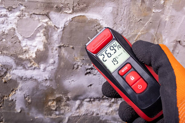 Best Mold Removal Near Me  in East Grand Forks, MN